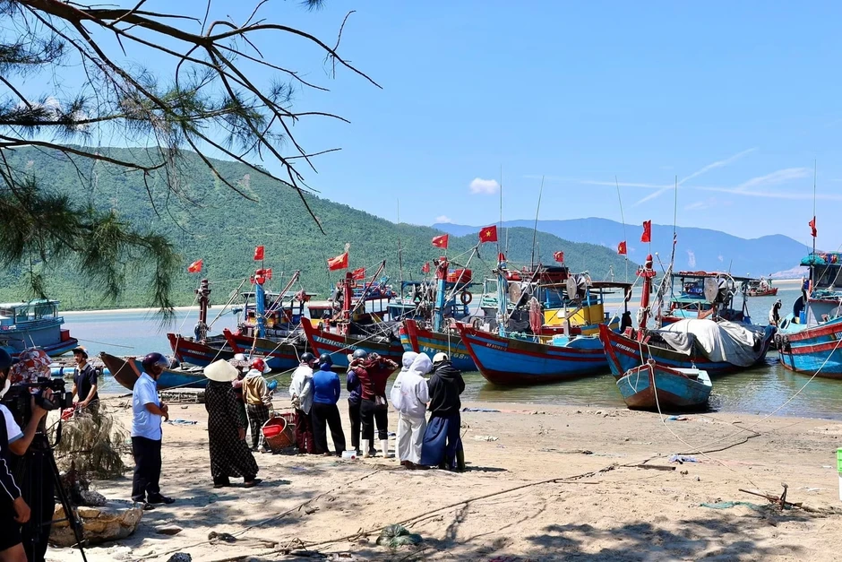 Ngư dân trúng đậm luồng cá vàng dâng 'hiếm khi xuất hiện' Ngư dân trúng đậm luồng cá vàng dâng 'hiếm khi xuất hiện'