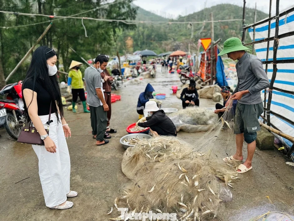 Ngư dân trúng 'lộc biển' đầu năm, thu tiền triệu mỗi ngày Ngư dân trúng 'lộc biển' đầu năm, thu tiền triệu mỗi ngày