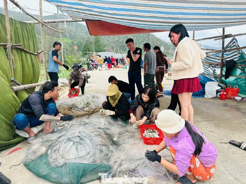 Ngư dân trúng 'lộc biển' đầu năm, thu tiền triệu mỗi ngày Ngư dân trúng 'lộc biển' đầu năm, thu tiền triệu mỗi ngày