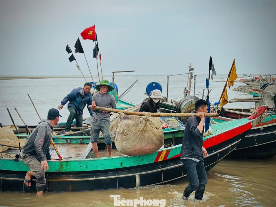 Ngư dân trúng 'lộc biển' đầu năm, thu tiền triệu mỗi ngày Ngư dân trúng 'lộc biển' đầu năm, thu tiền triệu mỗi ngày