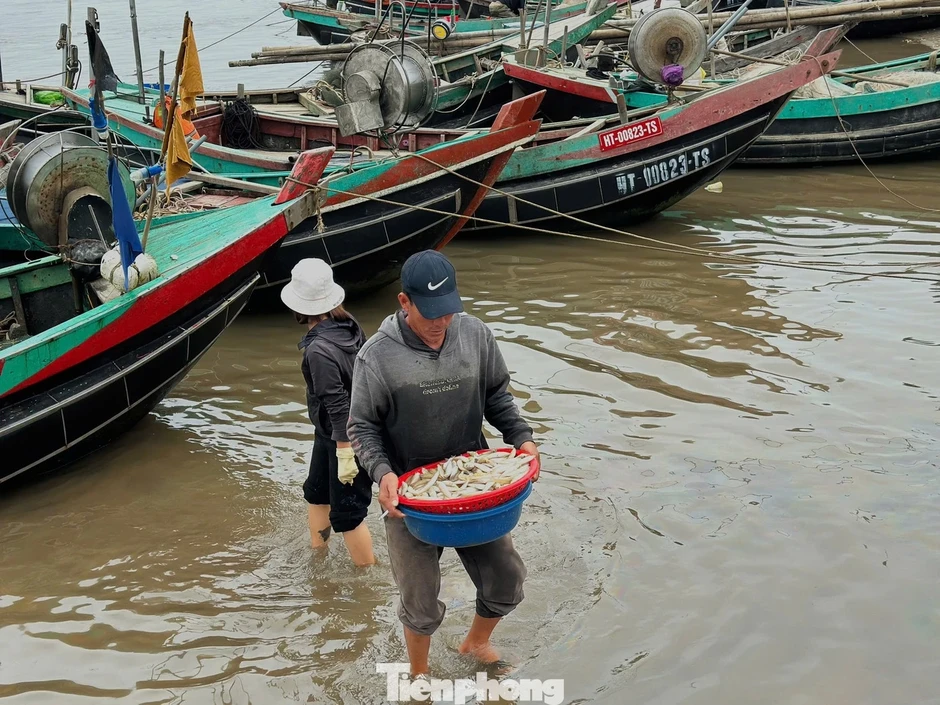 Ngư dân trúng 'lộc biển' đầu năm, thu tiền triệu mỗi ngày Ngư dân trúng 'lộc biển' đầu năm, thu tiền triệu mỗi ngày