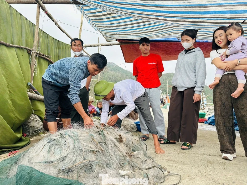 Ngư dân trúng 'lộc biển' đầu năm, thu tiền triệu mỗi ngày Ngư dân trúng 'lộc biển' đầu năm, thu tiền triệu mỗi ngày