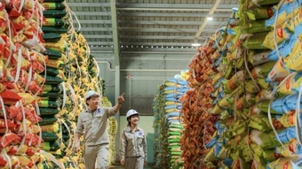 Nhà máy Đạm Phú Mỹ vận hành tối đa công suất, đảm bảo nguồn cung phân bón và sẵn sàng tận dụng cơ hội xuất khẩu