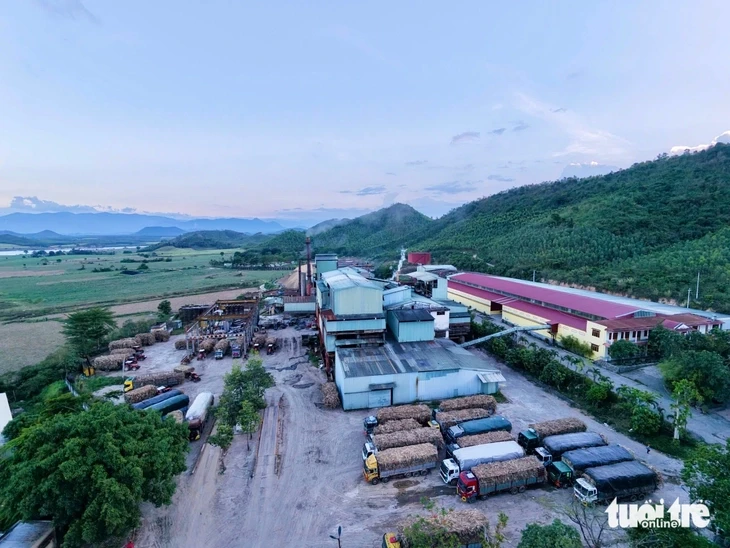 Nhà máy đường ở Đắk Lắk nêu nguyên nhân mua mía chậm, cam kết sẽ thu hết mía bao tiêu Nhà máy đường ở Đắk Lắk nêu nguyên nhân mua mía chậm, cam kết sẽ thu hết mía bao tiêu