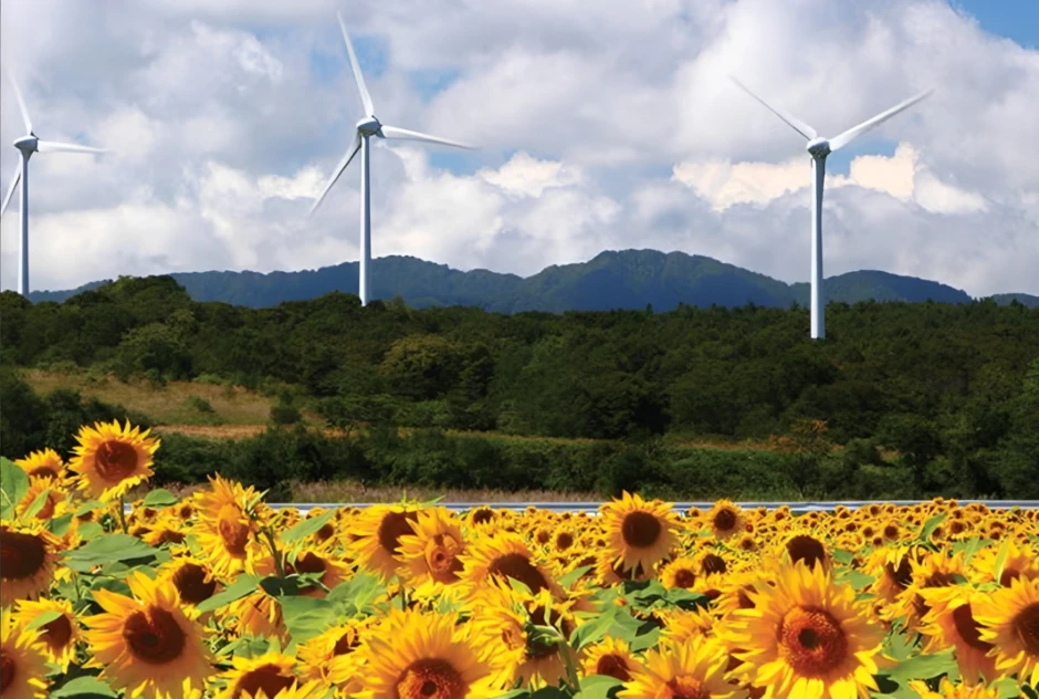 Nhật Bản biến 'vùng đất chết' Fukushima thành thủ phủ điện gió, điện mặt trời Nhật Bản biến 'vùng đất chết' Fukushima thành thủ phủ điện gió, điện mặt trời