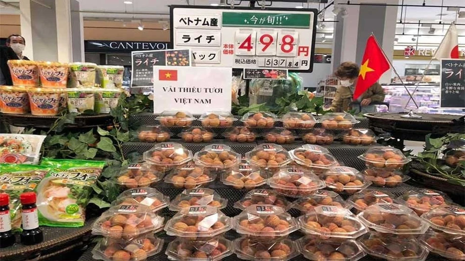 Nhật Bản là đối tác ODA hàng đầu của Việt Nam Nhật Bản là đối tác ODA hàng đầu của Việt Nam