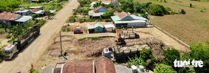 Nhiều trạm cân thu mua nông sản tự phát ở đông Đắk Lắk Nhiều trạm cân thu mua nông sản tự phát ở đông Đắk Lắk