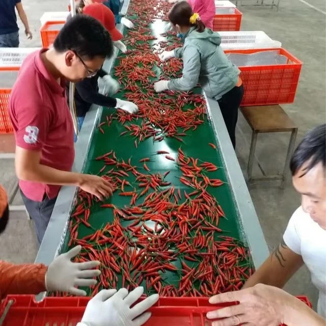 'Nợ 36.000 tỷ đồng đáng sợ thật, nhưng không đáng sợ bằng mất một chữ tín' 'Nợ 36.000 tỷ đồng đáng sợ thật, nhưng không đáng sợ bằng mất một chữ tín'