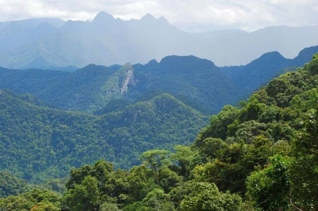 Nơi sẽ trở thành "Bà Nà Hills thứ 2" của Việt Nam khi được đầu tư hơn 16.000 tỷ đồng: Nằm trên đỉnh núi cao 1000m, khí hậu mát mẻ quanh năm, kết nối trực tiếp với di sản thiên nhiên thế giới Nơi sẽ trở thành "Bà Nà Hills thứ 2" của Việt Nam khi được đầu tư hơn 16.000 tỷ đồng: Nằm trên đỉnh núi cao 1000m, khí hậu mát mẻ quanh năm, kết nối trực tiếp với di sản thiên nhiên thế giới