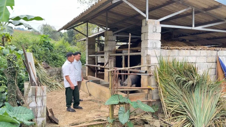 Nông dân Cao Bằng phát triển kinh tế từ mô hình tổng hợp Nông dân Cao Bằng phát triển kinh tế từ mô hình tổng hợp