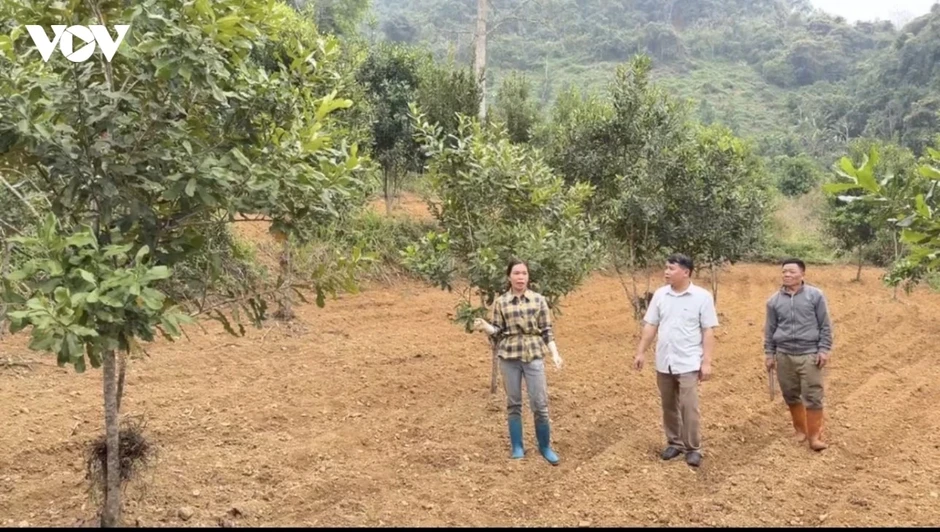 Nông dân Cao Bằng phát triển kinh tế từ mô hình tổng hợp Nông dân Cao Bằng phát triển kinh tế từ mô hình tổng hợp