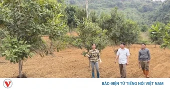 Nông dân Cao Bằng phát triển kinh tế từ mô hình tổng hợp