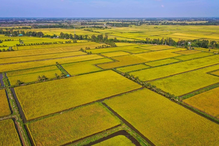 Nông nghiệp Việt Nam trước ngã rẽ mới Nông nghiệp Việt Nam trước ngã rẽ mới