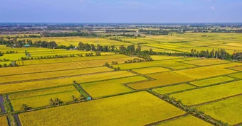 Nông nghiệp Việt Nam trước ngã rẽ mới