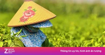 Ớt được mùa, vì sao nông dân trắng tay?