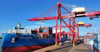 Pakistan săn chục nghìn tấn 'vàng xanh' của Việt Nam: Thuế nhập khẩu 0%, Việt Nam là ông trùm đứng thứ 5 thế giới