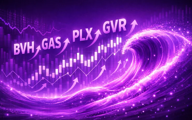 Petrolimex 'cài số lùi' lợi nhuận 2026, lần đầu lên tiếng trước áp lực từ xe điện Petrolimex 'cài số lùi' lợi nhuận 2026, lần đầu lên tiếng trước áp lực từ xe điện
