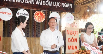 Phó chủ tịch tỉnh livestream bán vải thiều sớm, 'mát tay' chốt đơn hơn 31 tấn
