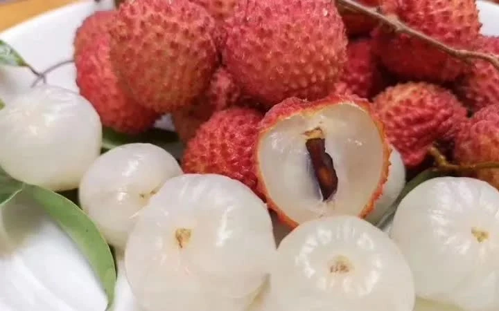 Sản lượng vải thiều dự kiến giảm khoảng 50% so với năm ngoái Sản lượng vải thiều dự kiến giảm khoảng 50% so với năm ngoái