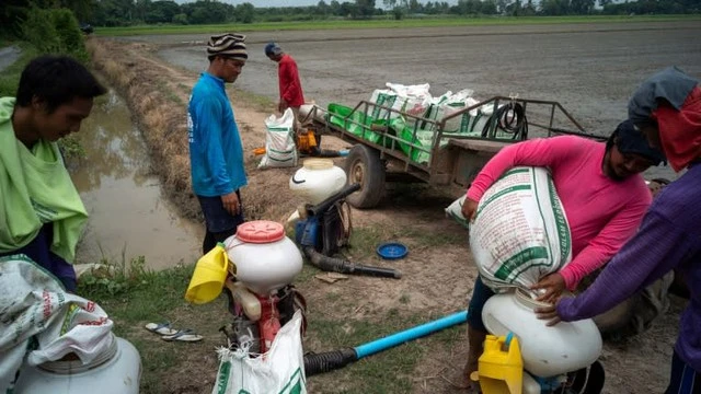 Sau cú sốc giá dầu, nhiều quốc gia Đông Nam Á chưa kịp thở đã đón thêm một 'cơn đau đầu' mới Sau cú sốc giá dầu, nhiều quốc gia Đông Nam Á chưa kịp thở đã đón thêm một 'cơn đau đầu' mới