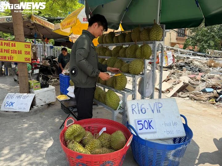 Sầu riêng 50.000 đồng/kg vẫn khó bán, loại nửa triệu đồng/kg lại ‘cháy hàng’ Sầu riêng 50.000 đồng/kg vẫn khó bán, loại nửa triệu đồng/kg lại ‘cháy hàng’