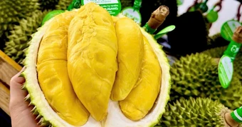 Sầu riêng 50.000 đồng/kg vẫn khó bán, loại nửa triệu đồng/kg lại ‘cháy hàng’