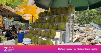 Sầu riêng giá rẻ 'đổ bộ' TP.HCM: Chất lượng ra sao?