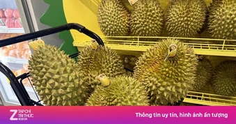 Sầu riêng giúp Việt Nam lập kỷ lục xuất khẩu