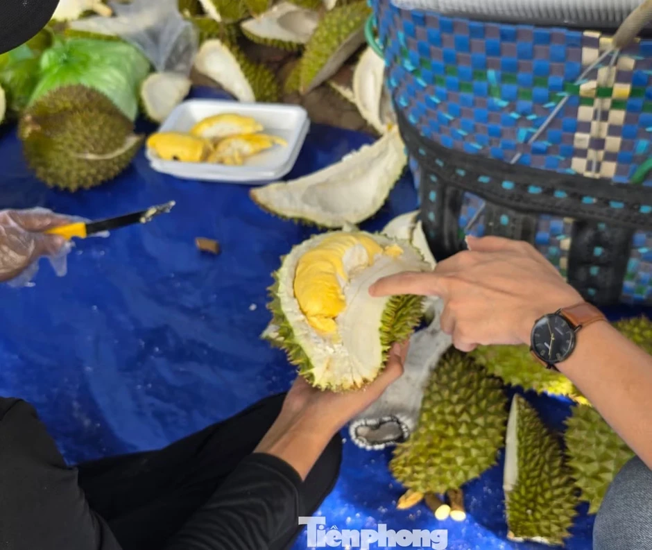 Sầu riêng ‘rẻ như bèo’ bán đầy vỉa hè Sầu riêng ‘rẻ như bèo’ bán đầy vỉa hè