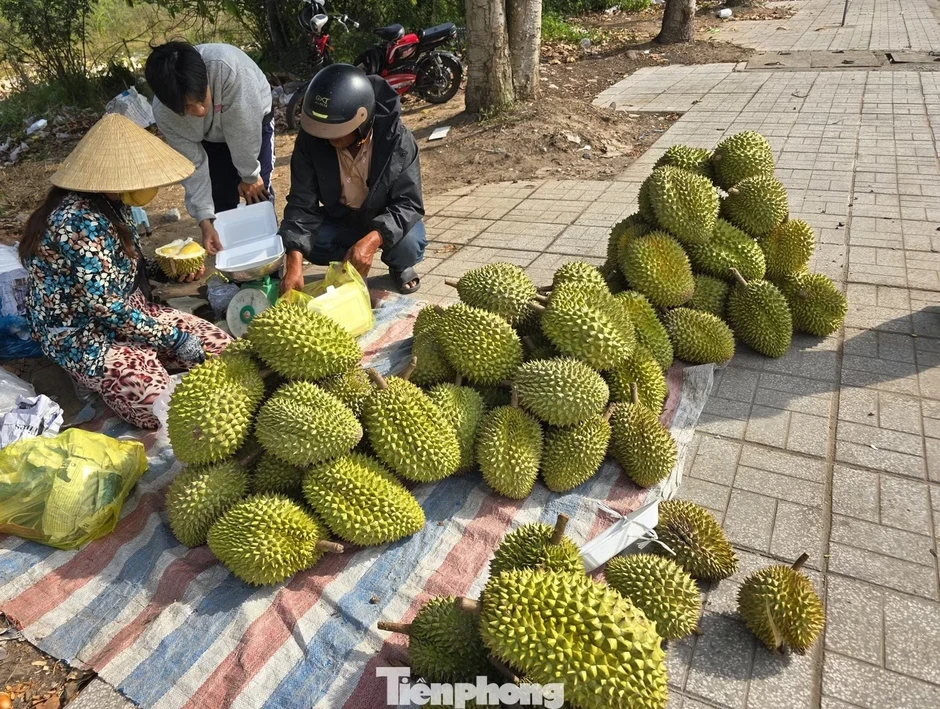Sầu riêng ‘rẻ như bèo’ bán đầy vỉa hè Sầu riêng ‘rẻ như bèo’ bán đầy vỉa hè