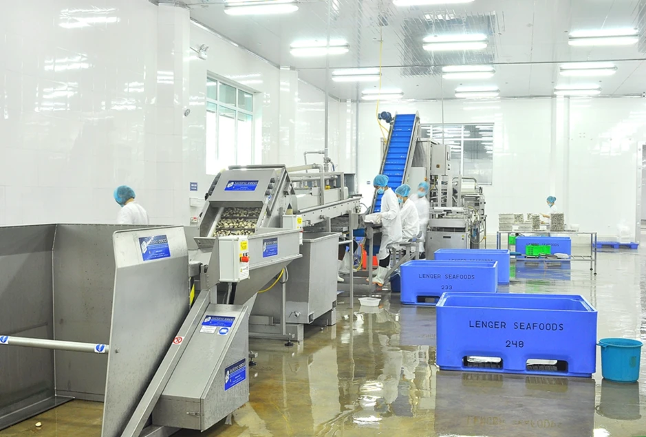 Tập đoàn Hà Lan bán nhà máy chế biến nghêu doanh thu hơn 500 tỷ/năm, công suất 300 tấn/ngày tại Ninh Bình Tập đoàn Hà Lan bán nhà máy chế biến nghêu doanh thu hơn 500 tỷ/năm, công suất 300 tấn/ngày tại Ninh Bình