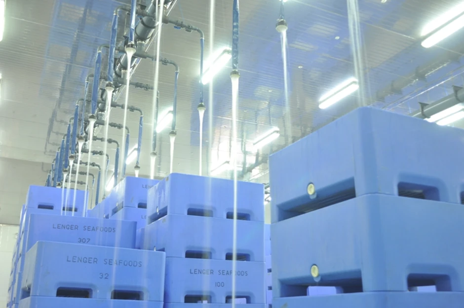 Tập đoàn Hà Lan bán nhà máy chế biến nghêu doanh thu hơn 500 tỷ/năm, công suất 300 tấn/ngày tại Ninh Bình Tập đoàn Hà Lan bán nhà máy chế biến nghêu doanh thu hơn 500 tỷ/năm, công suất 300 tấn/ngày tại Ninh Bình