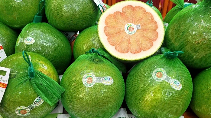 Thêm 2 loại trái cây phổ biến của Việt Nam được xuất chính ngạch sang Trung Quốc Thêm 2 loại trái cây phổ biến của Việt Nam được xuất chính ngạch sang Trung Quốc