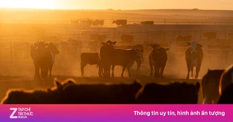 Thịt bò Mỹ bất ngờ gặp khó trên đường tới Trung Quốc