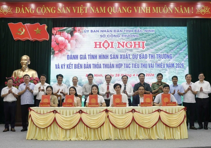 Thủ phủ vải thiều phía Bắc dự kiến thu hoạch sớm từ 25-5 Thủ phủ vải thiều phía Bắc dự kiến thu hoạch sớm từ 25-5