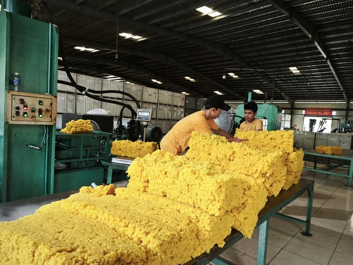 Thủ tướng Lào ghi nhận những đóng góp của VRG tại Lào Thủ tướng Lào ghi nhận những đóng góp của VRG tại Lào