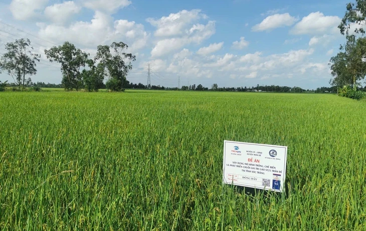 Thúc đẩy chuyển đổi xanh trong nông nghiệp Thúc đẩy chuyển đổi xanh trong nông nghiệp