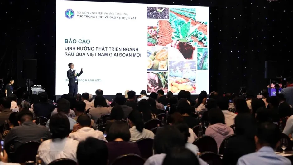 Thúc đẩy hợp tác nông sản Việt Nam - Trung Quốc theo chuỗi cung ứng bền vững Thúc đẩy hợp tác nông sản Việt Nam - Trung Quốc theo chuỗi cung ứng bền vững