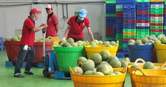 Thúc đẩy hợp tác nông sản Việt Nam - Trung Quốc theo chuỗi cung ứng bền vững