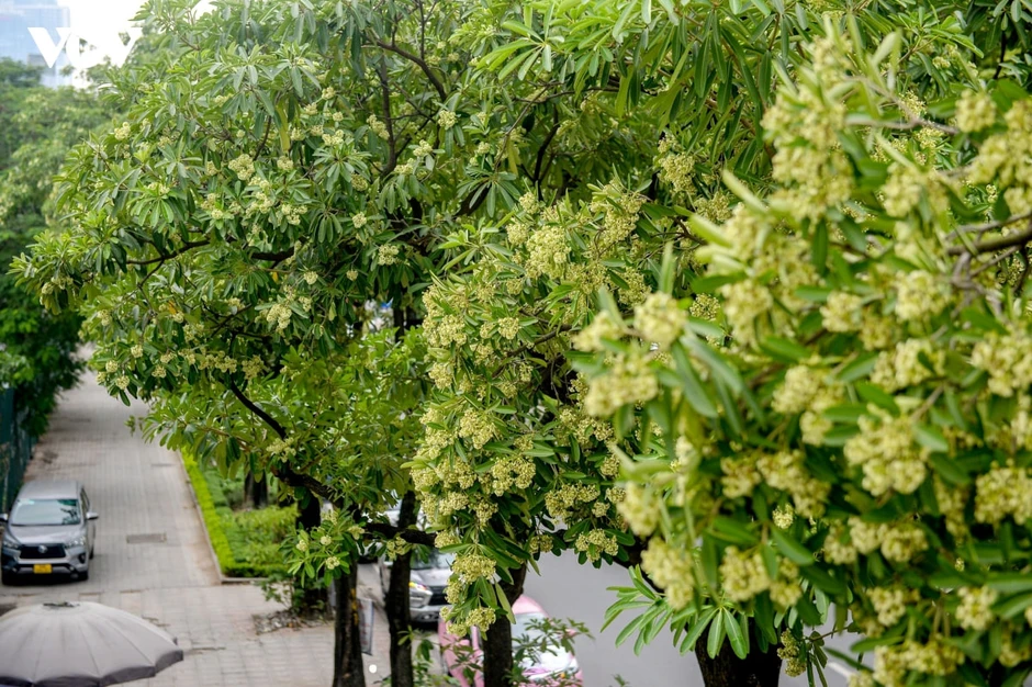 Thực hư trà sữa, nước khoáng hoa sữa gây sốt tại Hà Nội, uống vào thực khách liền “bất ngờ” Thực hư trà sữa, nước khoáng hoa sữa gây sốt tại Hà Nội, uống vào thực khách liền “bất ngờ”
