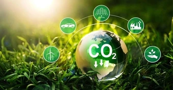 Tín chỉ carbon rừng chỉ được bán theo hợp đồng, qua sàn giao dịch - Báo TinVina