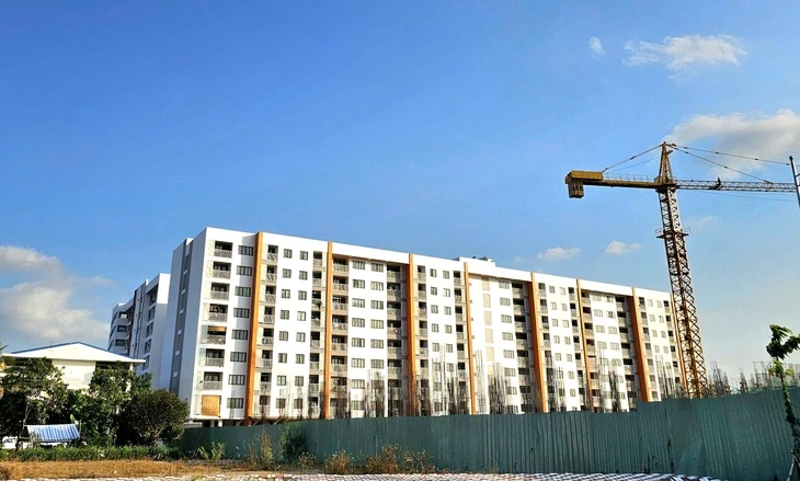 Tin tức sáng 19-3: Chung cư Cần Thơ phải có tối thiểu từ 2 nhà mạng để người dân lựa chọn Tin tức sáng 19-3: Chung cư Cần Thơ phải có tối thiểu từ 2 nhà mạng để người dân lựa chọn
