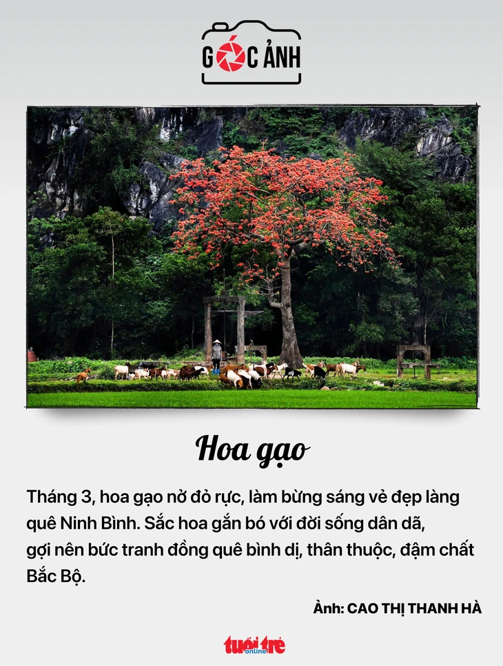 Tin tức sáng 20-3: Lãi suất liên ngân hàng đồng loạt tăng Tin tức sáng 20-3: Lãi suất liên ngân hàng đồng loạt tăng