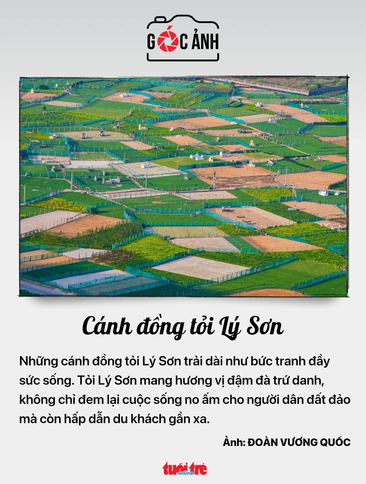 Tin tức sáng 22-5: Lãi suất qua đêm xuống còn 6%/năm Tin tức sáng 22-5: Lãi suất qua đêm xuống còn 6%/năm
