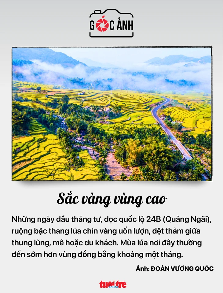 Tin tức sáng 7-4: Lợi dụng sàn thương mại điện tử, hàng giả tràn vào Việt Nam Tin tức sáng 7-4: Lợi dụng sàn thương mại điện tử, hàng giả tràn vào Việt Nam