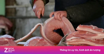 TP.HCM siết truy xuất nguồn gốc thực phẩm