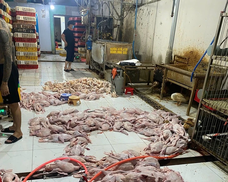 TP.HCM: Tăng kiểm tra tại các chợ, nhiều tiểu thương bị phạt vì địa điểm giết mổ gà, vịt