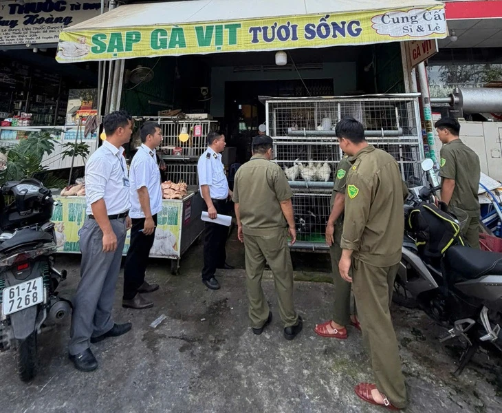 TP.HCM: Tăng kiểm tra tại các chợ, nhiều tiểu thương bị phạt vì địa điểm giết mổ gà, vịt