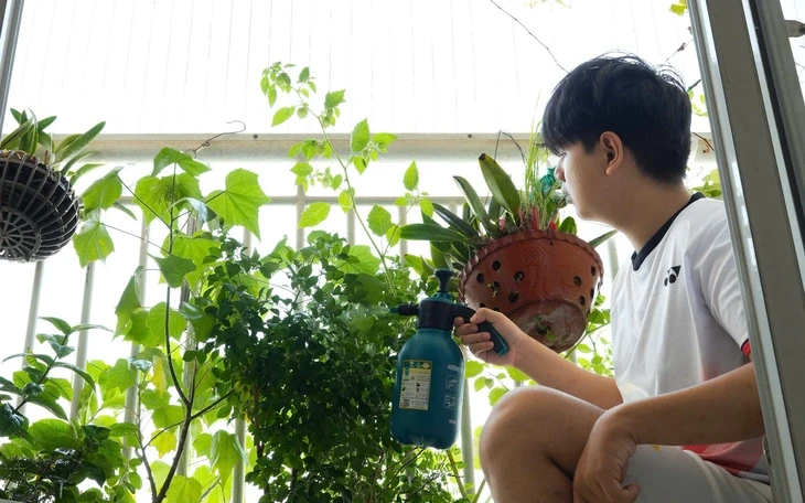 TP.HCM tiêu thụ điện cao kỷ lục, tăng hơn 10% so với đỉnh năm 2025 TP.HCM tiêu thụ điện cao kỷ lục, tăng hơn 10% so với đỉnh năm 2025