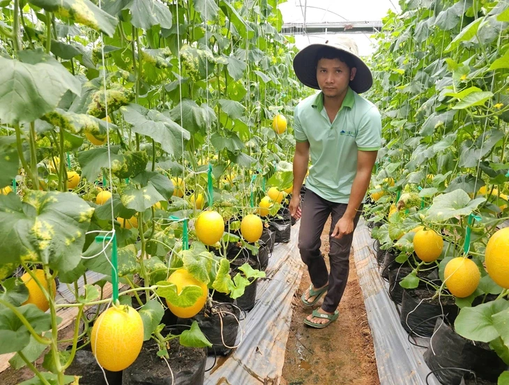 TP.HCM tổ chức cuộc thi đổi mới sáng tạo nông nghiệp, hỗ trợ tới 400 triệu đồng TP.HCM tổ chức cuộc thi đổi mới sáng tạo nông nghiệp, hỗ trợ tới 400 triệu đồng